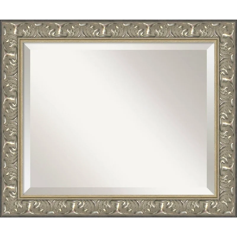 Renaissance Silver Wall Mirror - Medium 24 x 20-inch